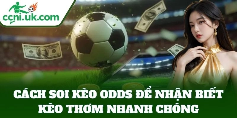 Cách Soi Kèo Odds Chuẩn Xác - Đảm Bảo Thắng Dễ Dàng Hơn 3 Cách soi kèo odds để nhận biết kèo thơm nhanh chóng