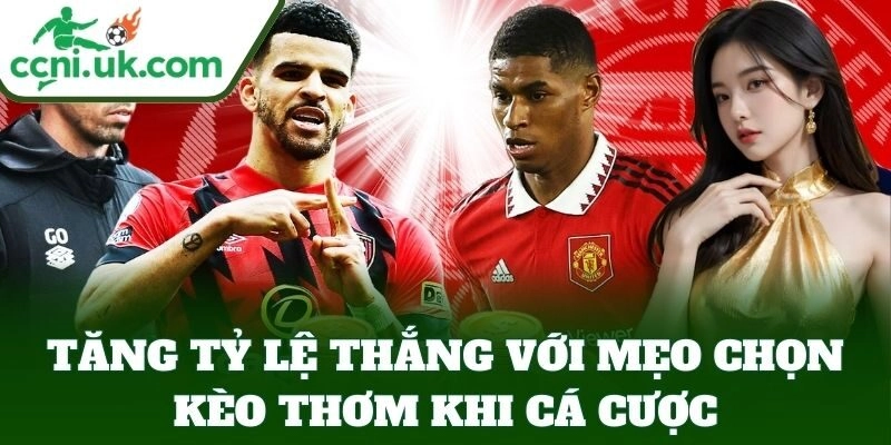Mẹo Chọn Kèo Thơm Khi Cá Cược - Nhận Biết Kèo Dễ Trúng 3 Tăng tỷ lệ thắng với Mẹo Chọn Kèo Thơm Khi Cá Cược