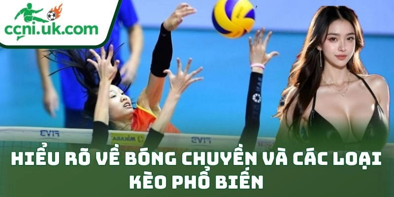 Mẹo Cá Cược Bóng Chuyền Hiệu Quả: Bí Kíp Thắng Đỉnh Cao 1 Hiểu rõ về bóng chuyền và các loại kèo phổ biến