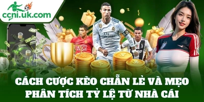 Cách Cược Kèo Chẵn Lẻ Chuẩn - Bí Kíp Dễ Chơi Dễ Thắng 3 Cách Cược Kèo Chẵn Lẻ và mẹo phân tích tỷ lệ từ nhà cái