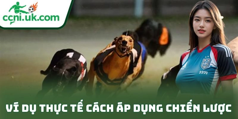 Bí Quyết Cá Cược Đua Chó An Toàn Cho Dân Chơi Bền Vốn 3 Ví dụ thực tế cách áp dụng chiến lược